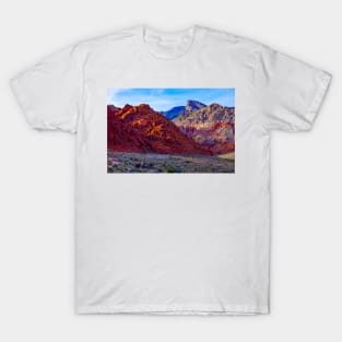 Red Rock Calico Basin 1 T-Shirt